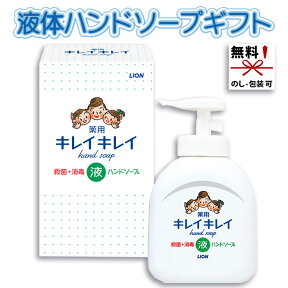 ライオン キレイキレイ 薬用液体ハンドソープ250ml ギフト箱入り BPPHY[zk] 在庫あり LION 引越し 挨拶 ギフト 粗品 品物 引っ越し挨拶ギフト きれいきれい さっぱり 風邪予防 手洗い 除菌 消毒 ウイルス 液体 おしゃれ 景品 ギフトセット 人気 おすすめ