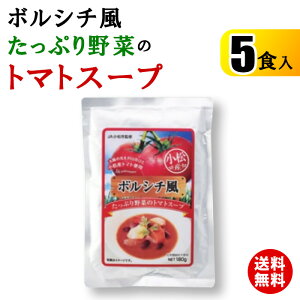 【送料無料】ボルシチ風たっぷり野菜のトマトスープ B-25ty]