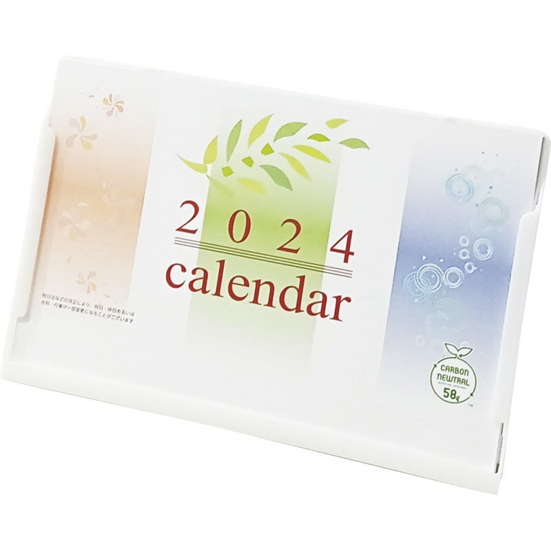 DMサイズカレンダー（紙プラ）2025年 TS-570[tr]