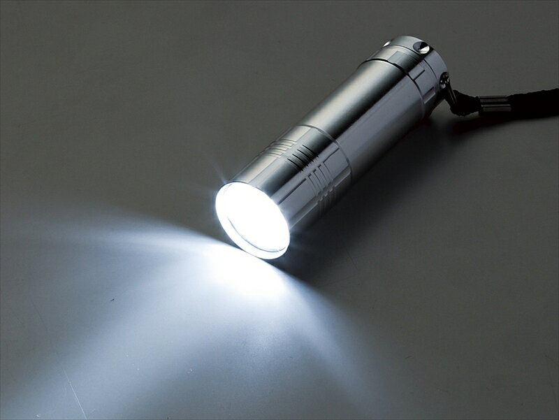 9LEDミニライト SR-31[tr] auc-hachidai-10554743 通販パーク 楽天市場店 サンプル画像3