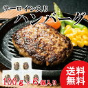 【送料無料】 サーロイン入りハン...