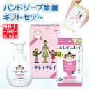 【在庫あり 引越し 挨拶 ギフト 粗品】ライオン キレイキレイ ギフトセット LKG-6A【ハンドソープ ギフト 引越し 挨拶 引っ越し 引っ越し祝い LION...