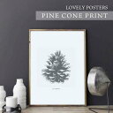 LOVELY POSTERS | PINE CONE PRINT | A3 アートプリント/ポスター インテリア 北欧  かっこいい 人気 a3 ポスター 北欧 アートポスター a3 レトロ モダン 白黒 インテリア ポスター アートポスター モノクロ モノトーン