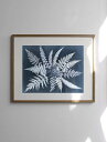 FINE LITTLE DAY | FERN STAR POSTER | アートプリント/ポスター (40x50cm) 北欧 シンプル ウォールインテリア イン...
