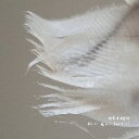 ROB BURGER / MARCHING WITH FEATHERS (LP) ロブ・バーガー レコード アナログ