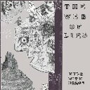 THE WEB OF LIES / NUDE WITH DEMON (LP) レコード アナログ