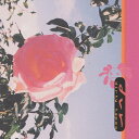 dvr / DIRTY TAPES (TAPE) カセット カセットテープ