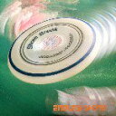【SALE セール】SHORE BREAK / ENDLESS SHORE (LP) ショアブレイク レコード アナログ