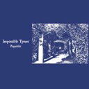 IMPOSSIBLE TYMES / POPADELIC (LP) レコード アナログ