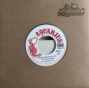 THE AQUARIANS / ARISE (HORNS CUT) Part1&2 (7") レコード アナログ
