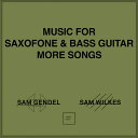 SAM GENDEL & SAM WILKES / MUSIC FOR SAXFONE & BASS GUITAR MORE SONGS (CD)