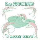 【 SALE セール】AVOCADOS / I NEVER KNEW (7