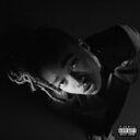 LITTLE SIMZ / GREY AREA (LP)