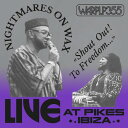 NIGHTMARES ON WAX / SHOUT OUT TO FREEDOM… (LIVE AT PIKES IBIZA) (LP) ナイトメアズ オン ワックス レコード アナログ