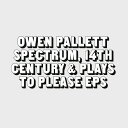 OWEN PALLETT / THE TWO EPS (LP) オーウェン・パレット レコード アナログ