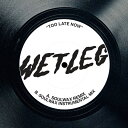 WET LEG / TOO LATE NOW (SOULWAX REMIXES) (12 )