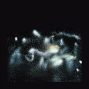 JAMES ELLIS FORD / THE HUM (LP) ジェームズ・フォード レコード アナログ