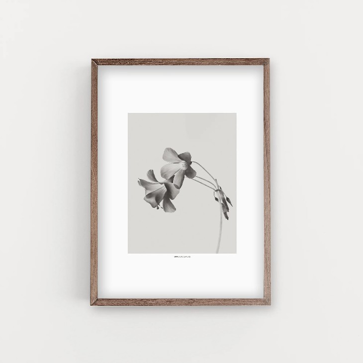 SIMPLISTIC LAYERS GREY BLOOM NEGATIVE (APS3) アートプリント/ポスター (30x40cm) 北欧 インテリア おしゃれ