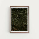 SIMPLISTIC LAYERS | AFTER THE RAIN 2 (APS25) | アートプリント/アートポスター (50x70cm) 北欧 フォトグ...