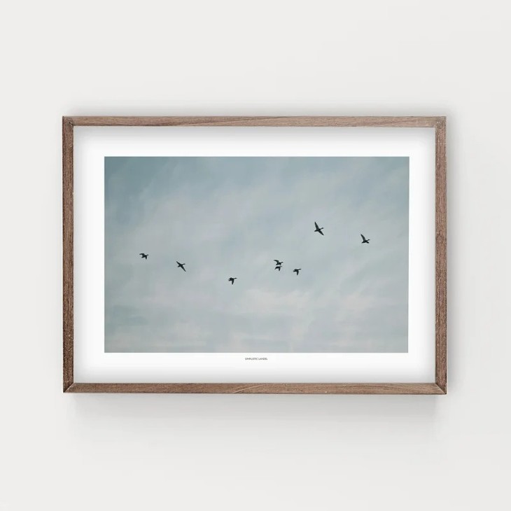 SIMPLISTIC LAYERS | FLYING DUCKS (APS27) | ȥץ/ȥݥ (50x70cm) ̲ եȥե ̵