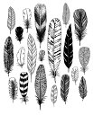 【SALE セール】ELOISE RENOUF | Feathers | A3 アートプリント/ポスター 北欧 インテリア アブストラクト