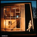 【SALE セール】IDLES / CRAWLER (帯付国内流通仕様) (LP) アイドルズ レコード アナログ
