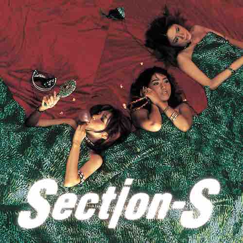 SECTION-S / WWW. (LP) レコード アナログ