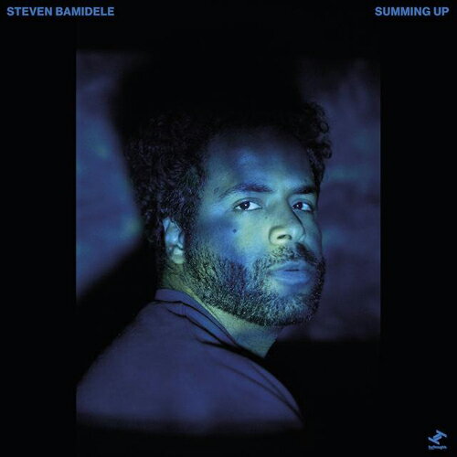【SALE セール】STEVEN BAMIDELE / SUMMING UP (LP) レコード アナログ