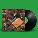 ANIMAL COLLECTIVE / ISN'T IT NOW? (2LP) アニマル・コレクティヴ レコード アナログ