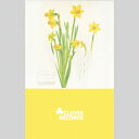 【SALE セール】DAFFODIL-19 / CIRCUIT (TAPE) カセットテープ