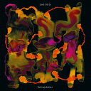 【SALE セール】LOST GIRLS / SELVUTSLETTER (LP) ロスト・ガールズ JENNY HVAL ジェニー・ヴァル HAVARD VO...
