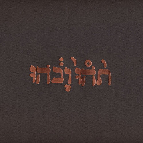 GODSPEED YOU BLACK EMPEROR / SLOW RIOT FOR NEW ZERO KANADA E.P. (180g) (12 ) ゴッドスピード ユー ブラック エンペラー レコード アナログ