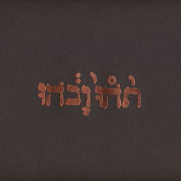 GODSPEED YOU! BLACK EMPEROR / SLOW RIOT FOR NEW ZERO KANADA E.P. (180g) (12") ゴッドスピード・ユー!・ブラック・エンペラー レコード アナログ