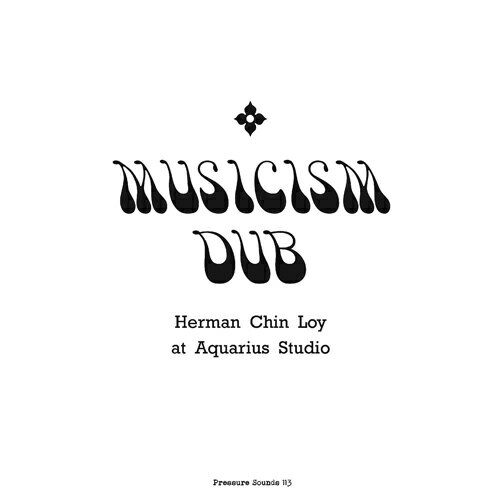 HERMAN CHIN LOY / MUSICISM DUB (2LP) ハーマン・チン・ロイ レコード アナログ