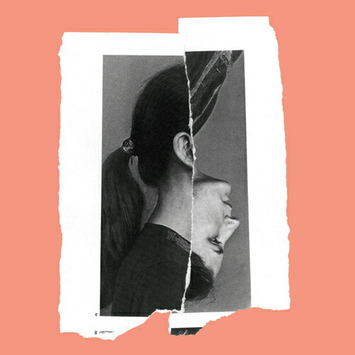 V.A. / SKY GIRL (2LP) レコード アナログ