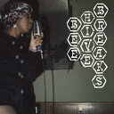 V.A. / BEEHIVE BREAKS (LP) レコード アナログ