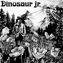 DINOSAUR JR. / DINOSAUR (LP) ダイナソーJr レコード アナログ
