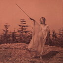 UNKNOWN MORTAL ORCHESTRA / II (LP) アンノウン・モータル・オーケストラ レコード アナログ