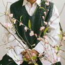 SHIGETO / CHERRY BLOSSOM BABY (LP) シゲト レコード アナログ