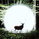 LITE / INSTALLATION (LP) ライト レコード アナログ レコードの日