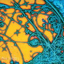 THE STROKES / IS THIS IT (US盤) (LP) ザ・ストロークス レコード アナログ