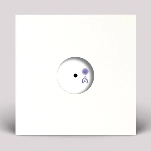 SGT SLICK / SGT SLICK RECUTS Vol. 3 (12") レコード アナログ