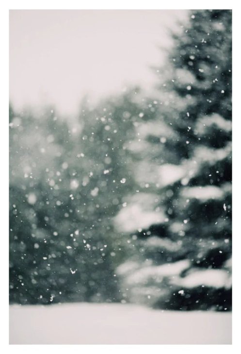 ALICIA BOCK PHOTOGRAPHY | WINTER DAYDREAM #3 | フォトグラフィ/アートポスター