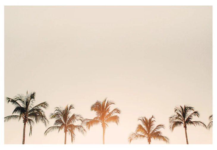 ALICIA BOCK PHOTOGRAPHY | MORNING BELLES | フォトグラフィ/アートポスター