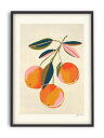 ZOE | Oranges | A3 アートプリント/ポスター | 北欧 シンプル アート インテリア おしゃれ