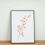 COLOR WATERCOLOR | Cherry Blossom #2 (pink) | A3 ȥץ/ݥ ̲ ץ 