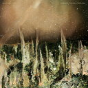 WHITNEY / FOREVER TURNED AROUND (LTD / FOREST BARK COLORED VINYL) (LP) ホイットニー レコ...