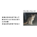 【SALE セール】LANTERN PARADE / 言葉が尽きるまで待って (7