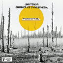 JIMI TENOR & COLD DIAMOND & MINK / SUMMER OF SYNESTHESIAS (7