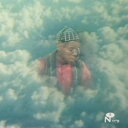 LARAAJI / VISION SONGS (LP) ララージ レコード アナログ